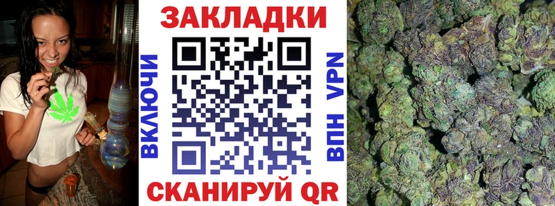 Продажа наркотиков Куса Alpha PVP  БУТИРАТ  ГАШ  Мефедрон 